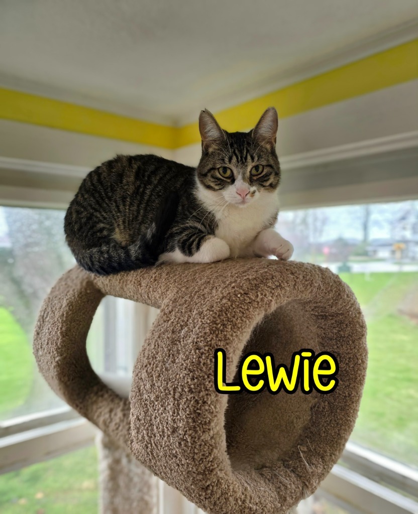 Lewie