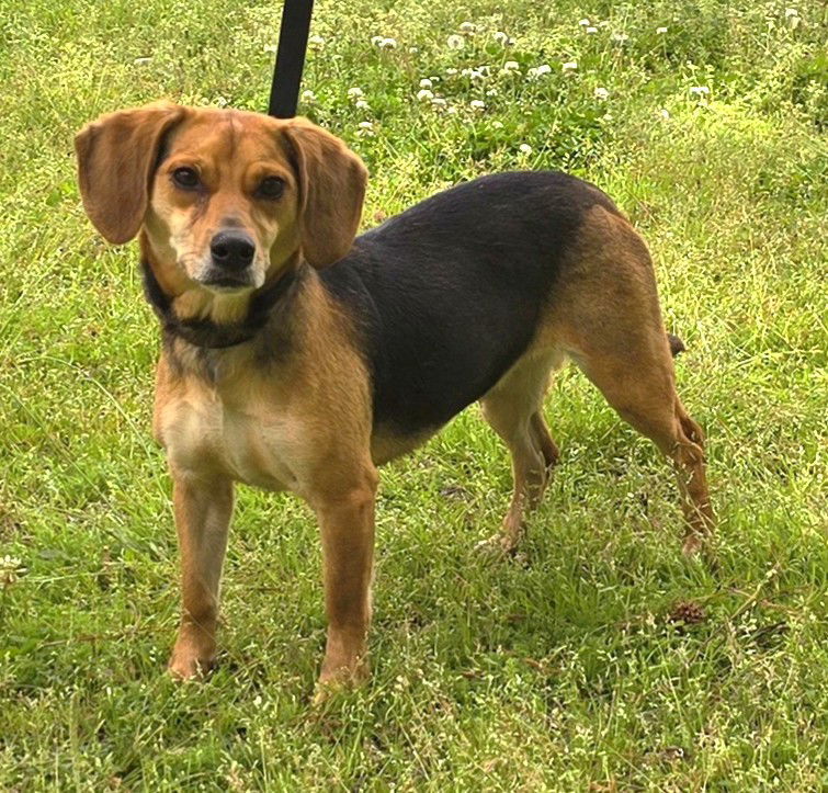 250557 Millie