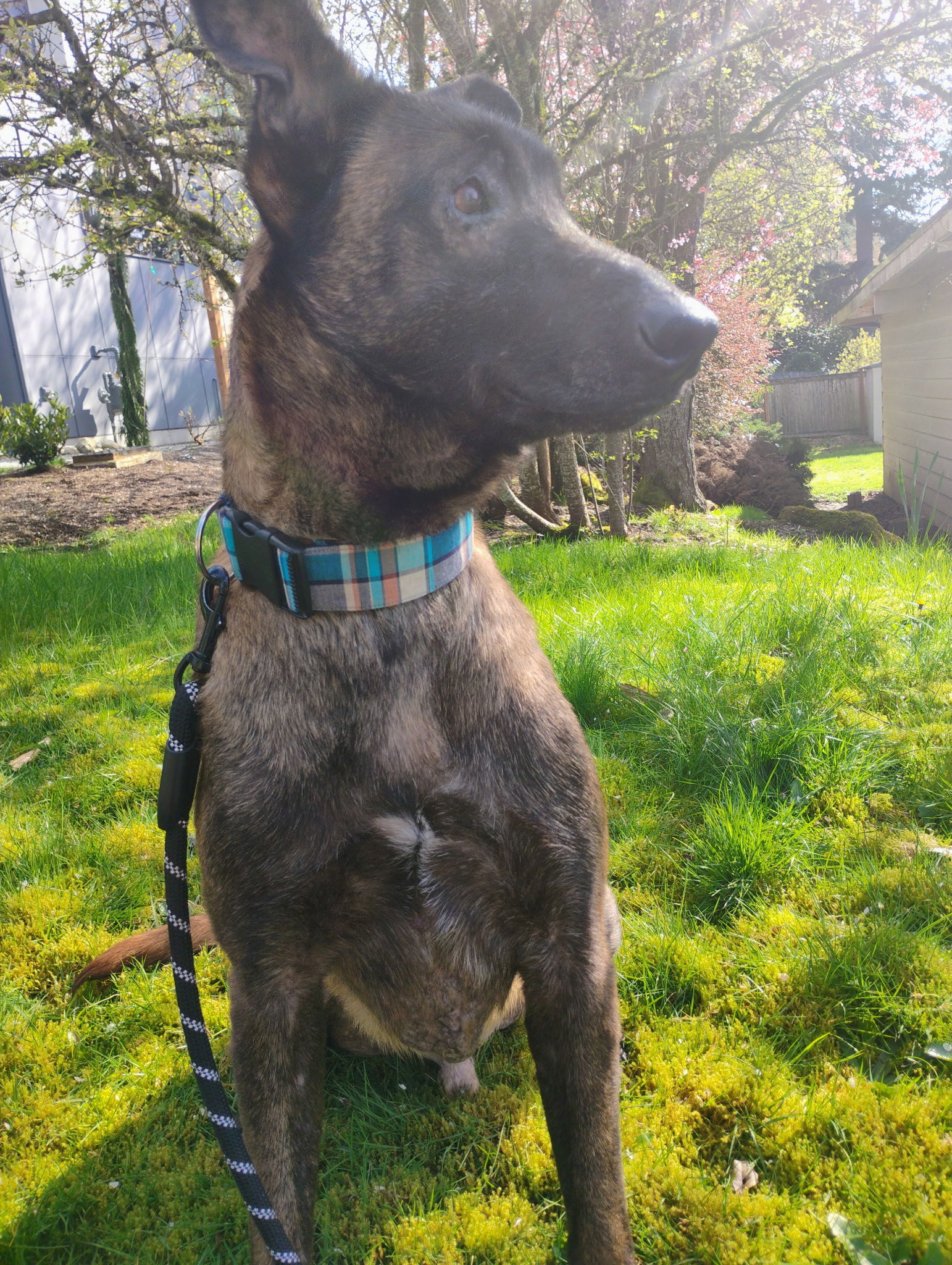 Max