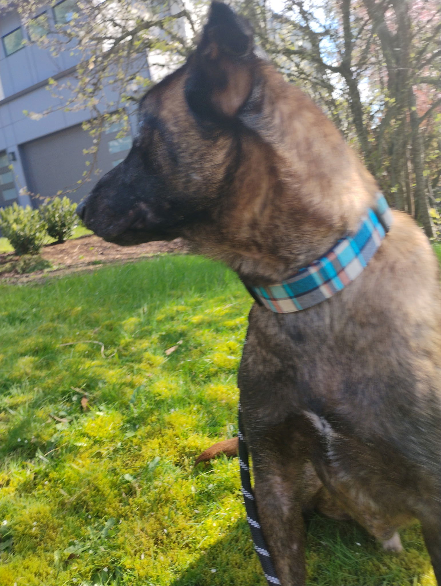 Max
