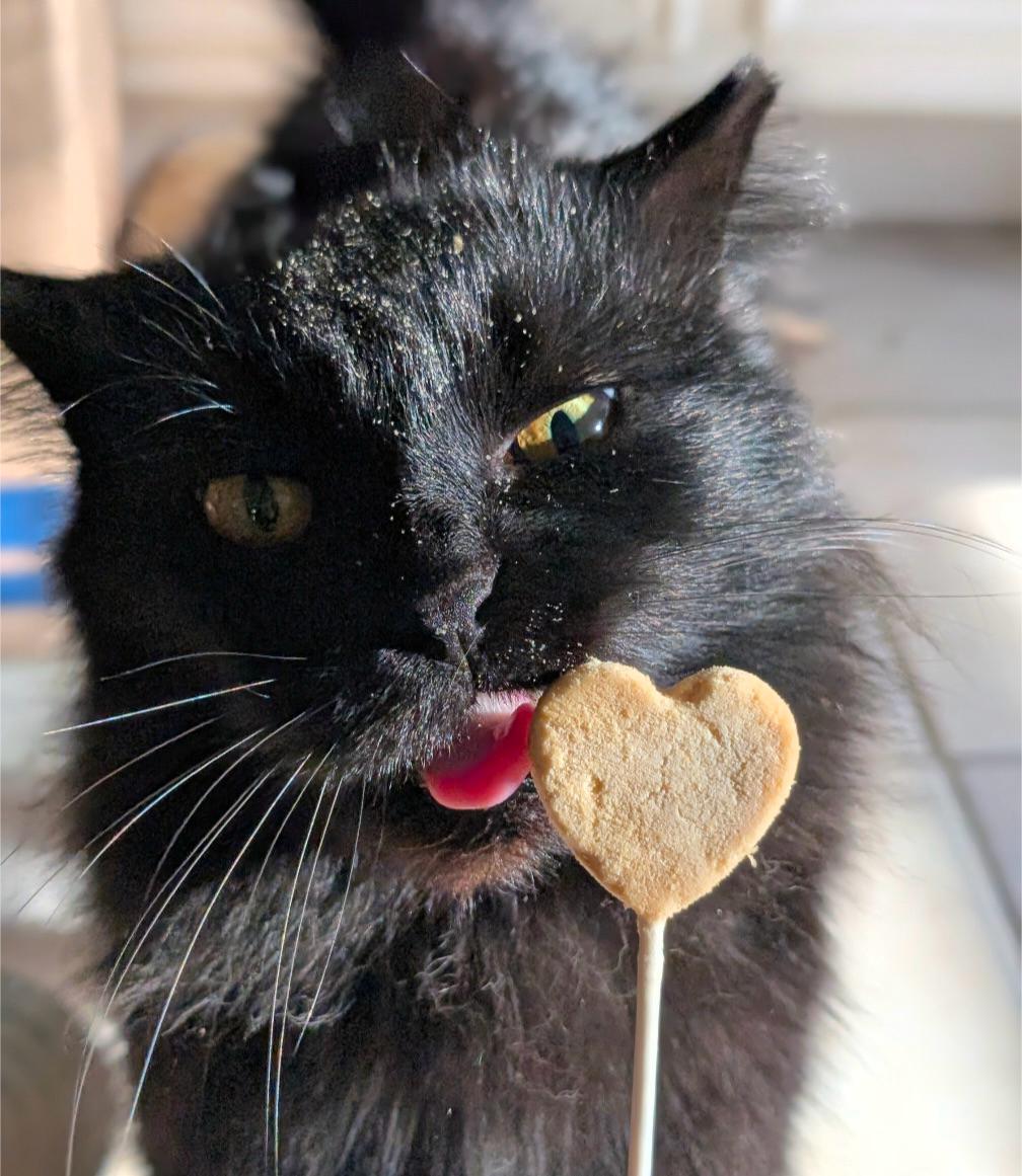 Sebastian