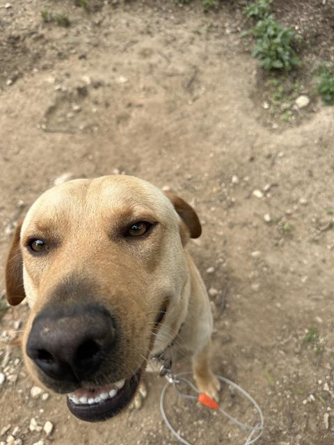 BO