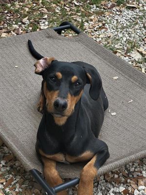 ZEUS, Young Male unknown