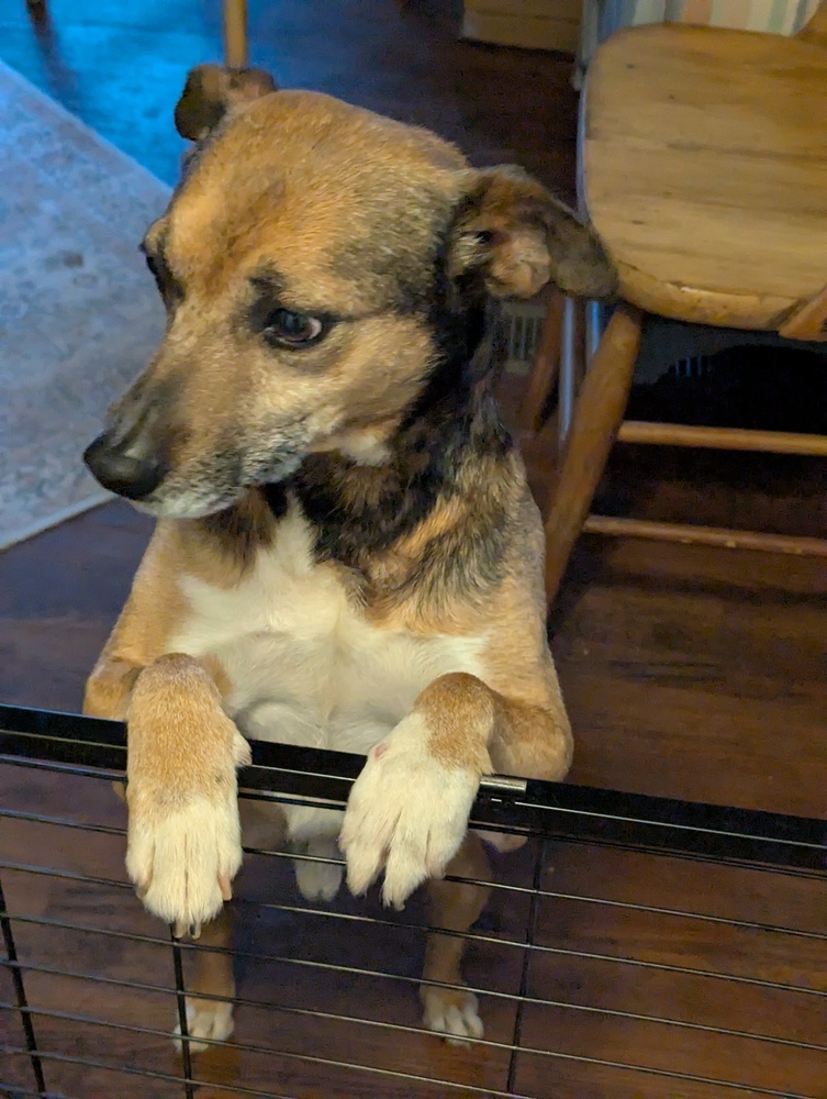 Bugsy