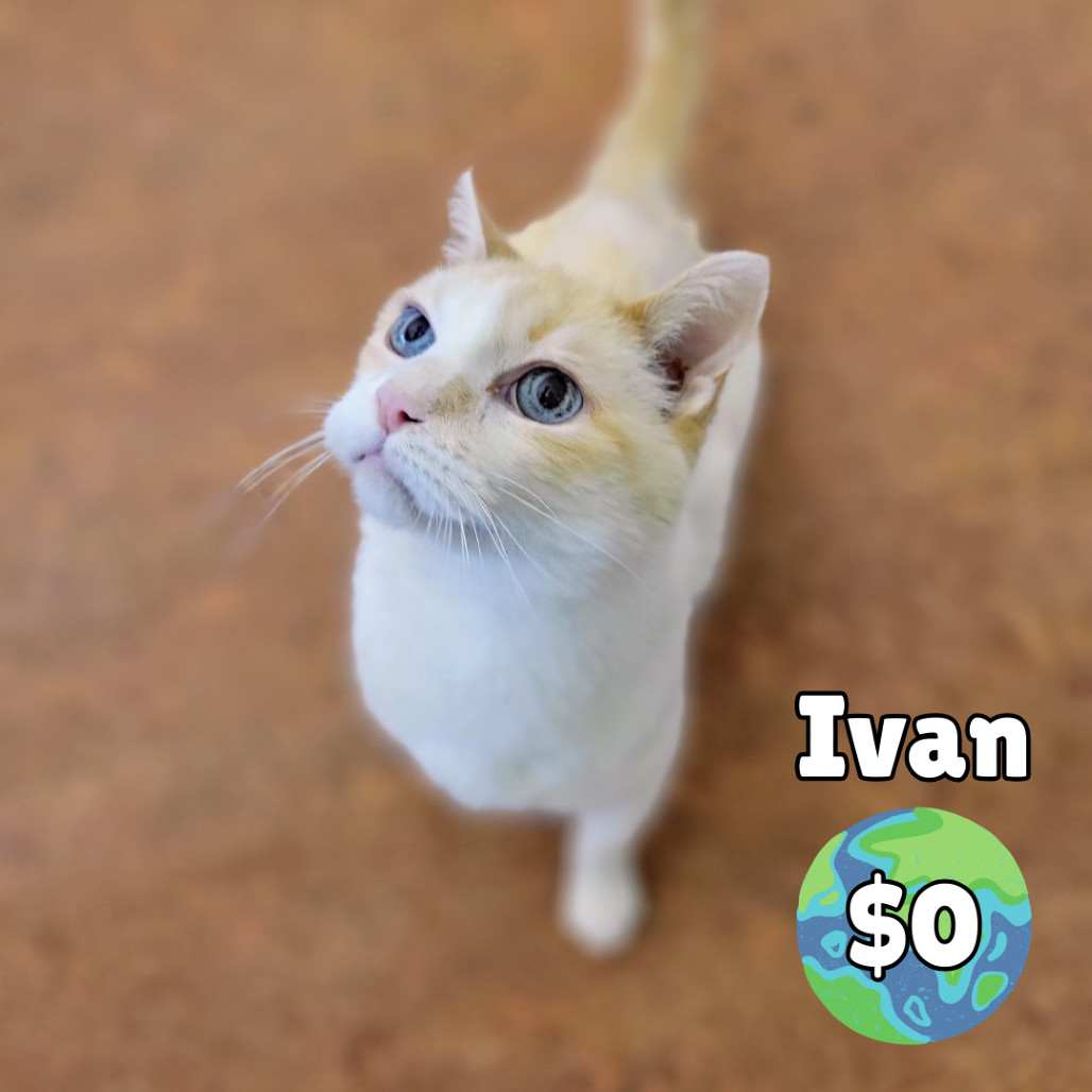Ivan