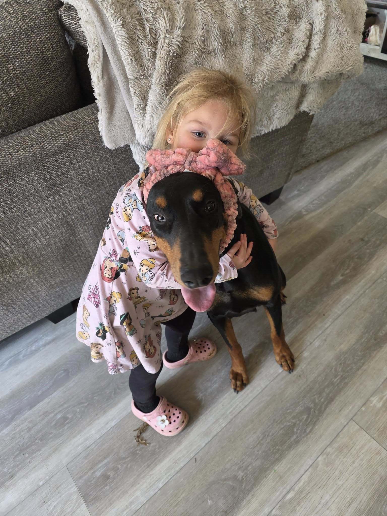 Mysteek Foster Needed!