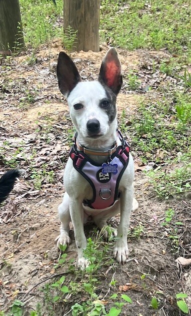 Lucy Lou