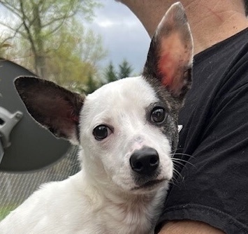 Lucy Lou
