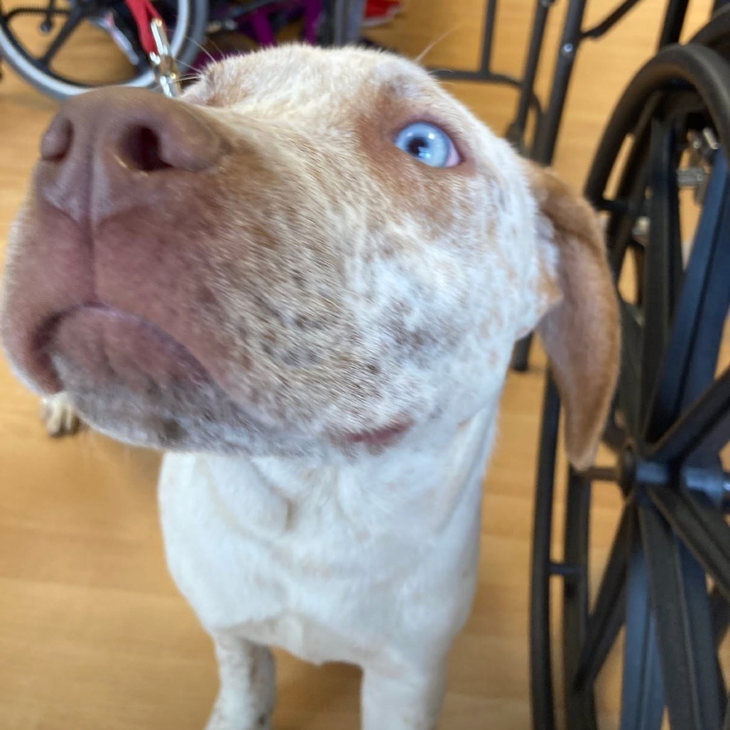 Doug