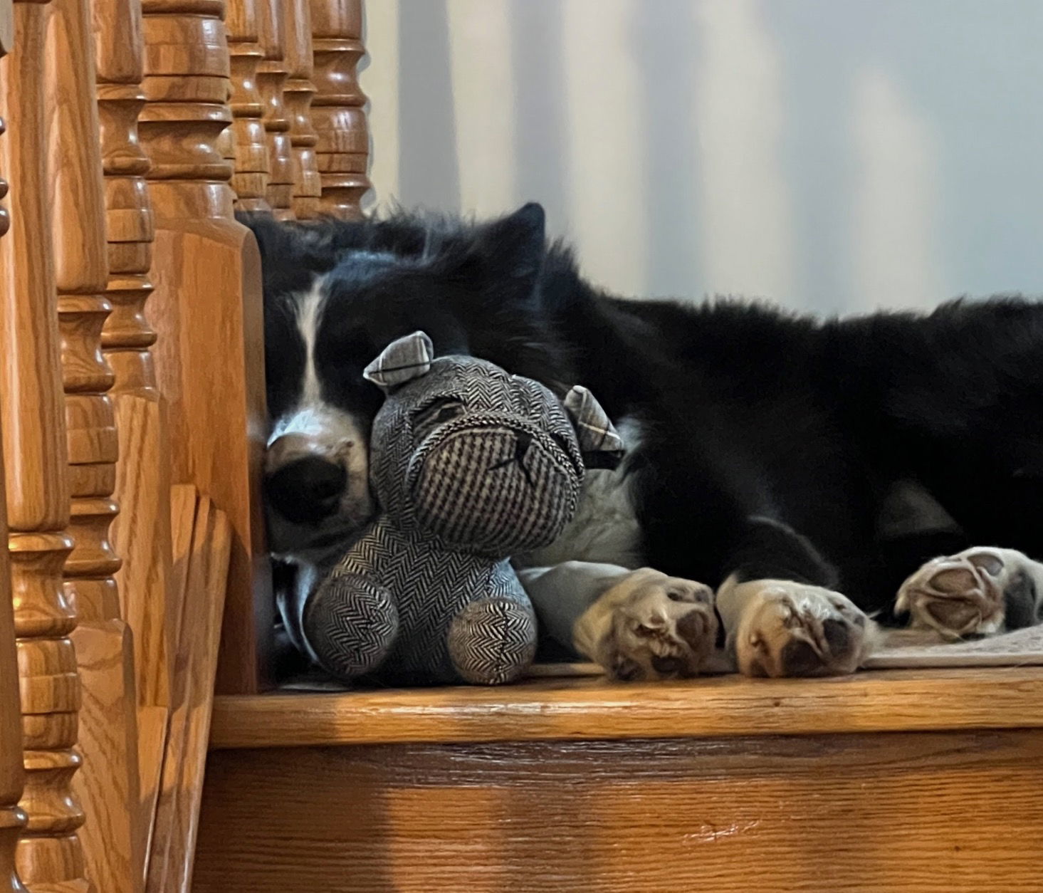Clyde