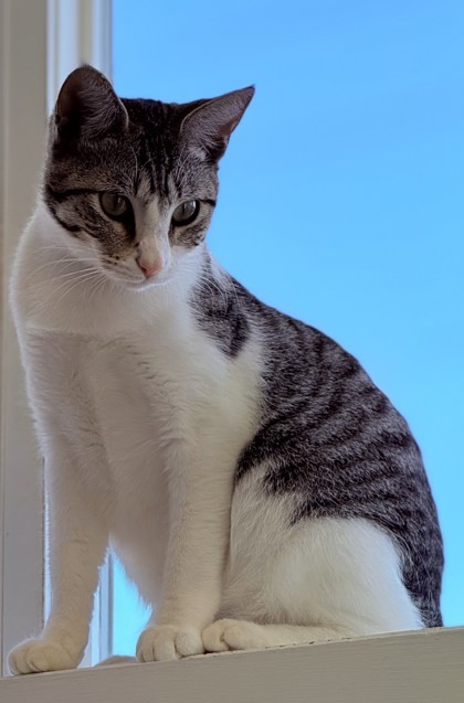 Binx