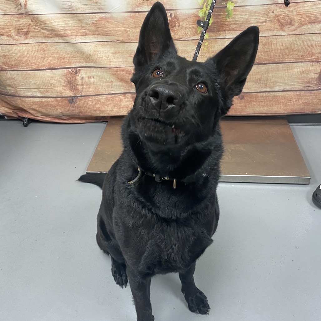 NALA