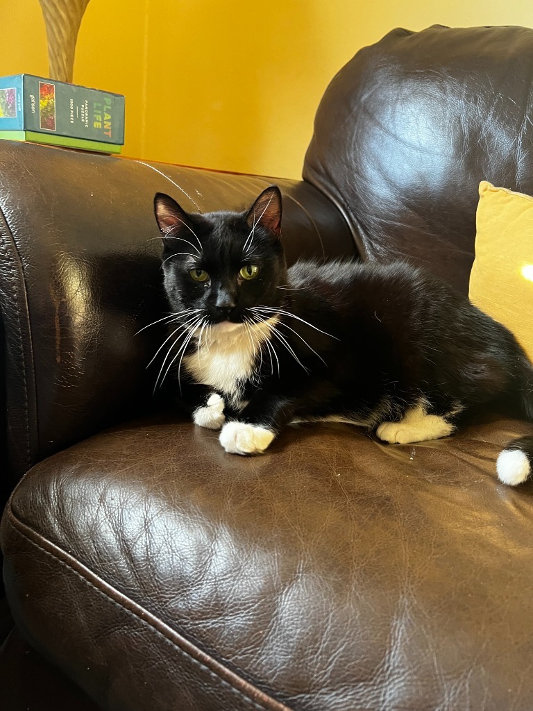 Frankie