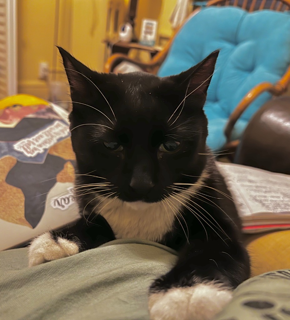 Frankie