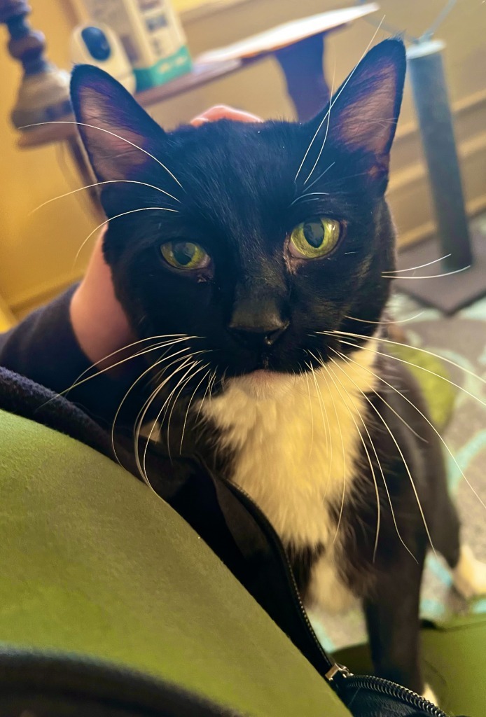Frankie