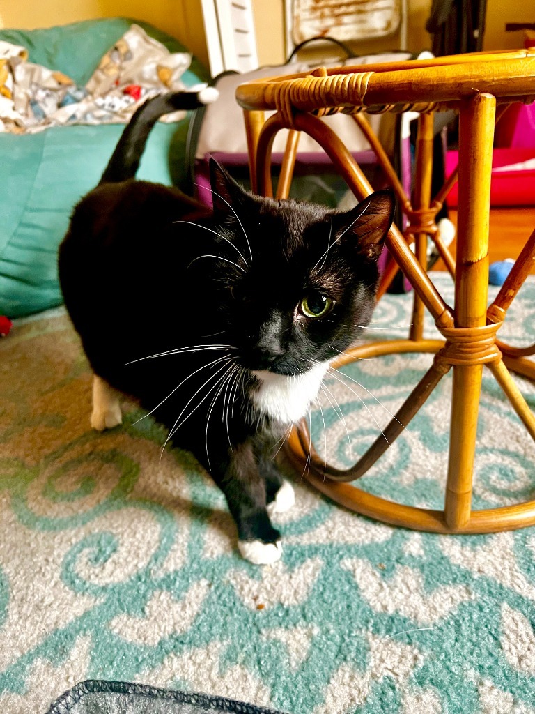 Frankie
