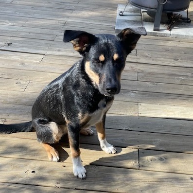 Lucy (In Foster)