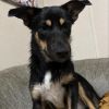 Lucy (In Foster) photo 2