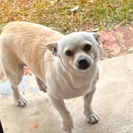 Paco