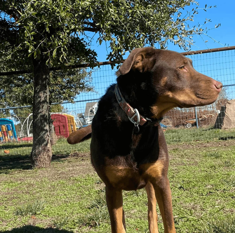 Coco