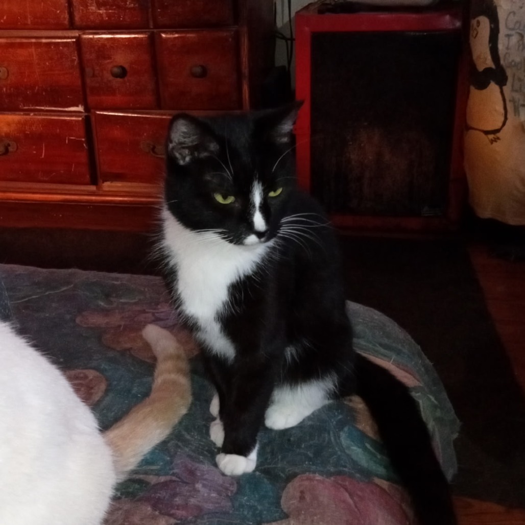 Bea