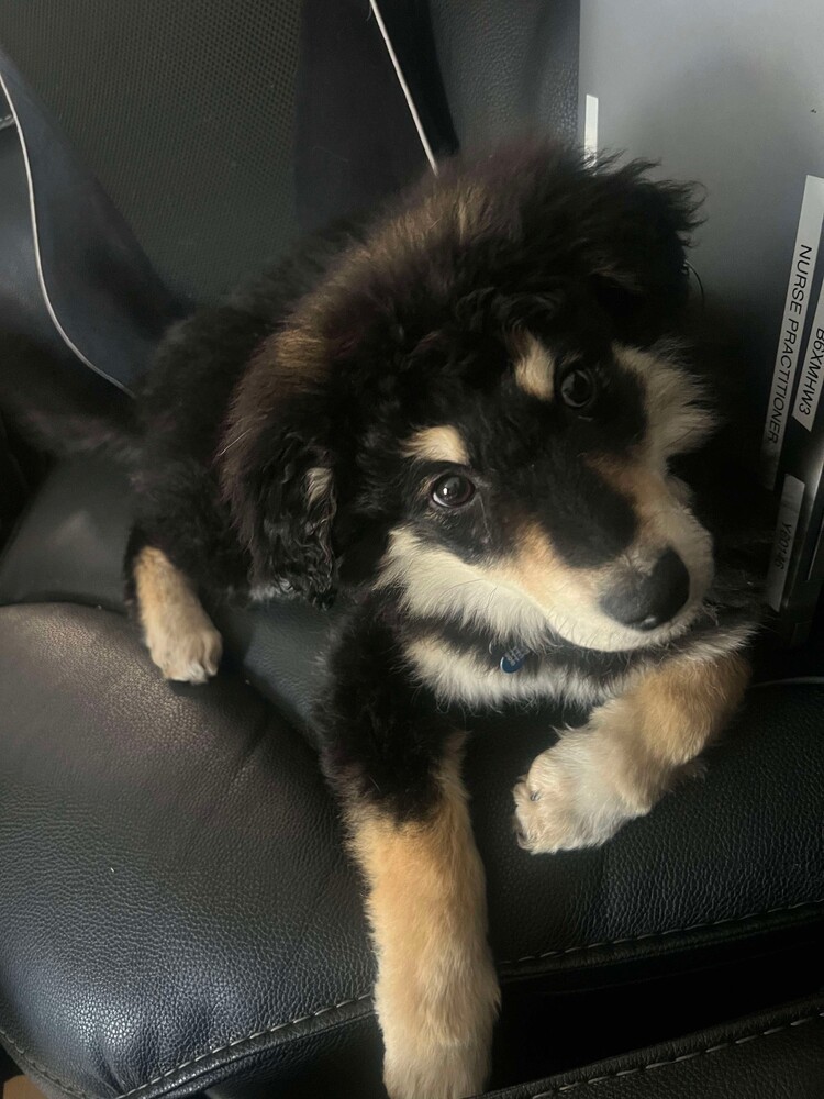 Tater (Baseball Litter '25)