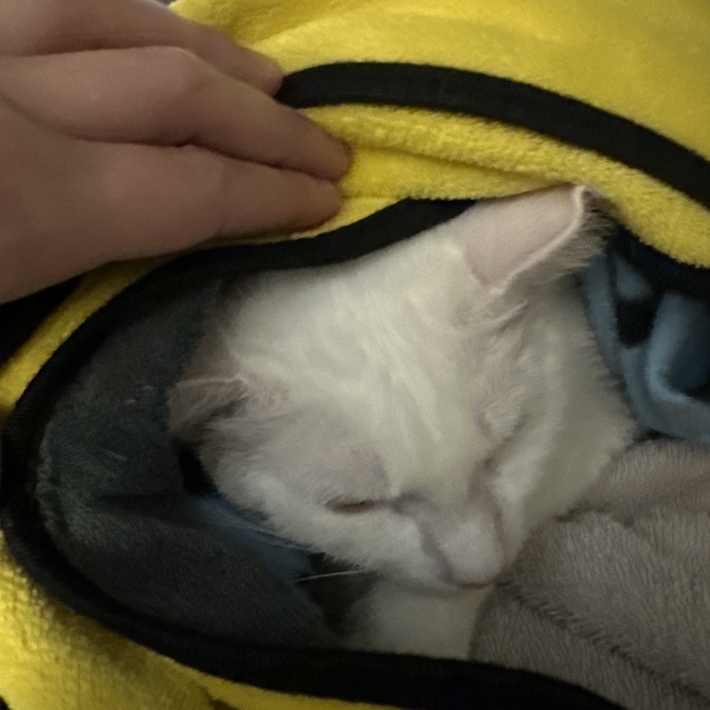 Casper