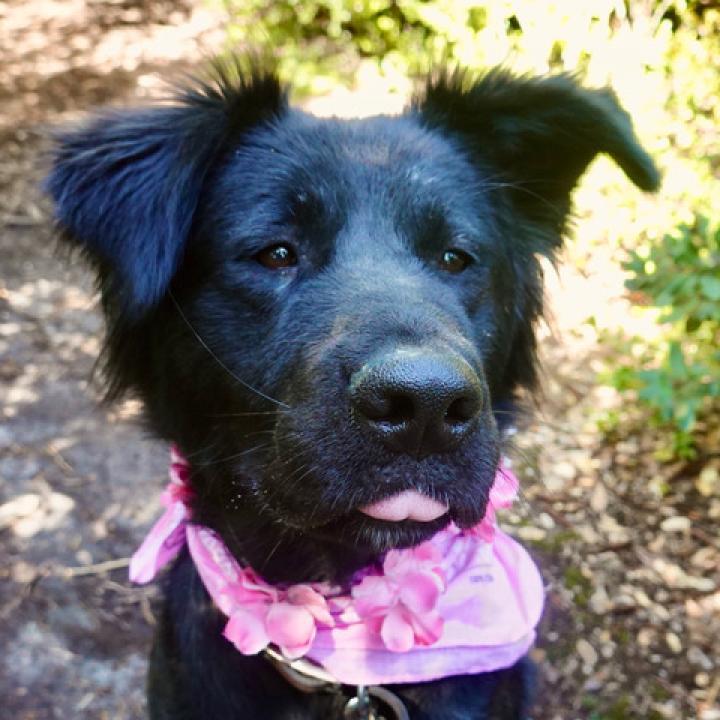 Bella