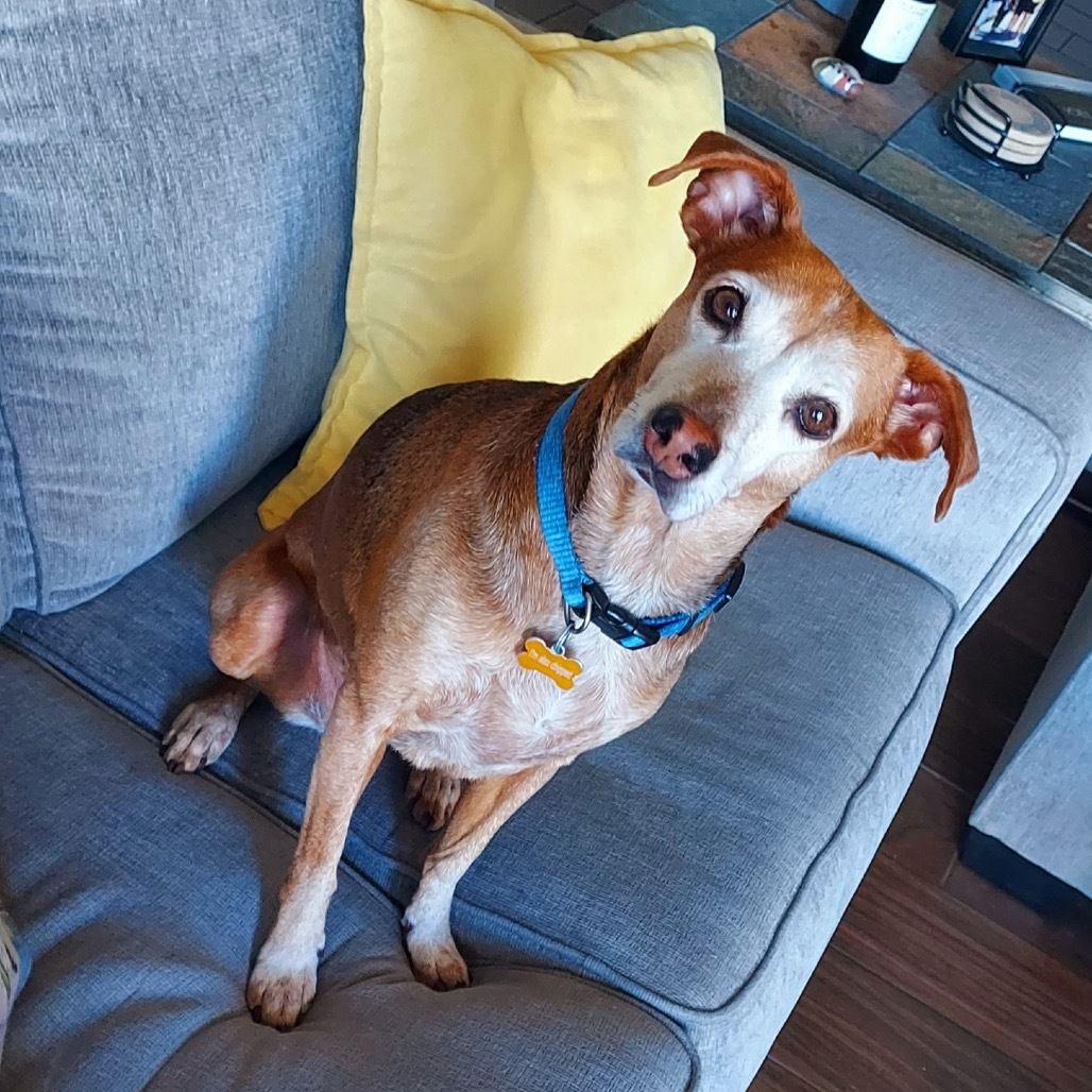 Moxie (Courtesy Listing)