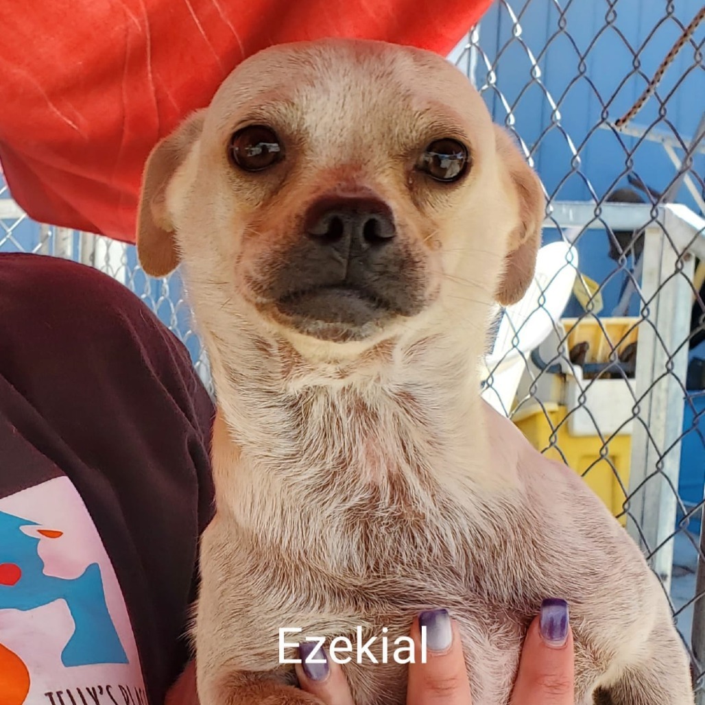 Ezekiel
