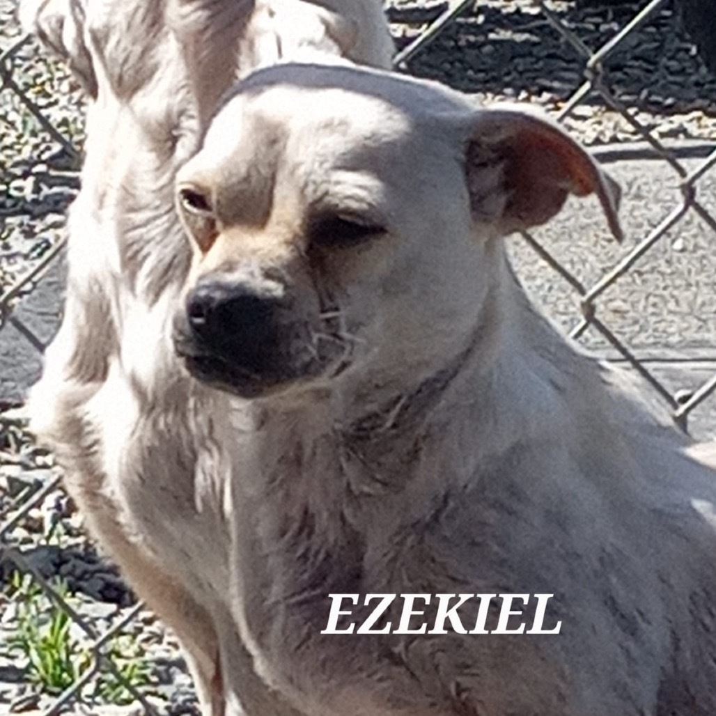 Ezekiel