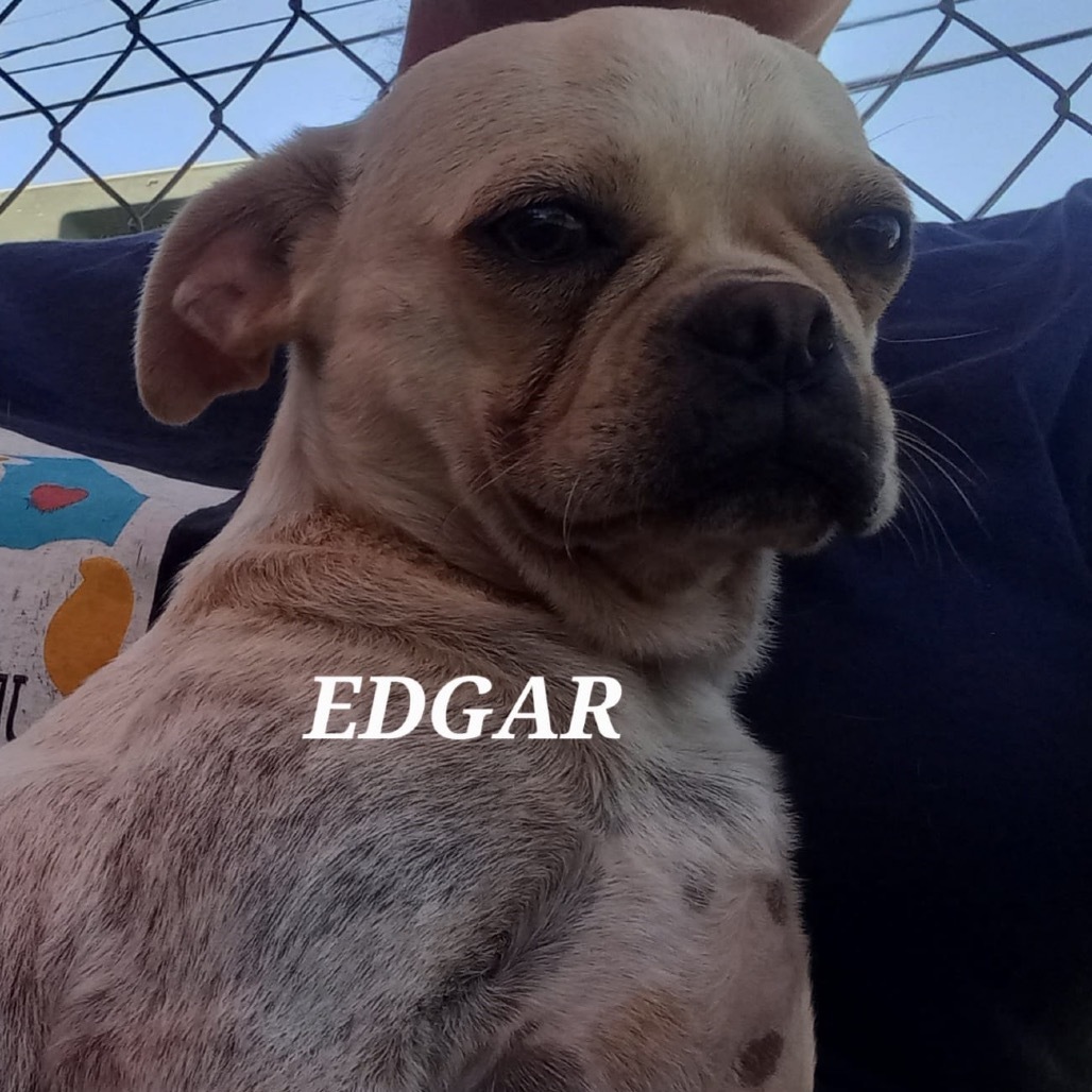 Edgar