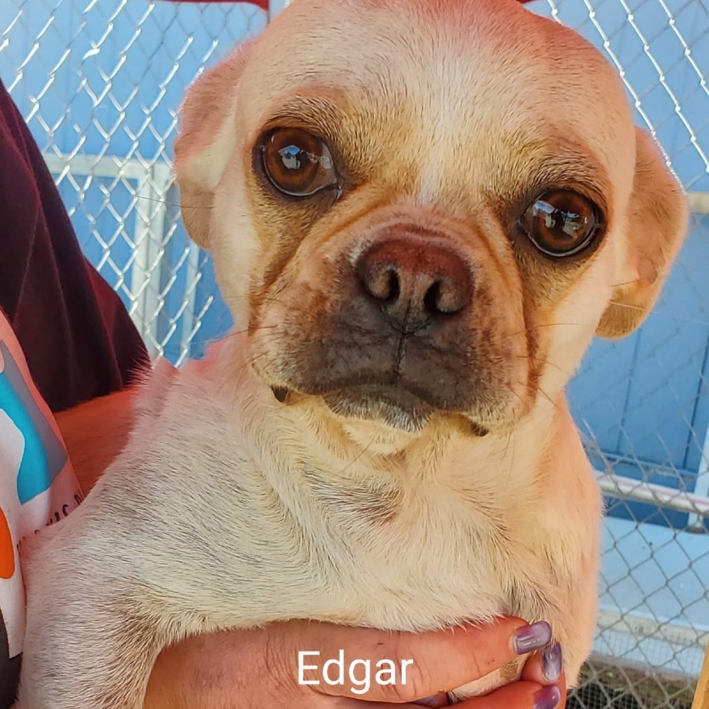 Edgar