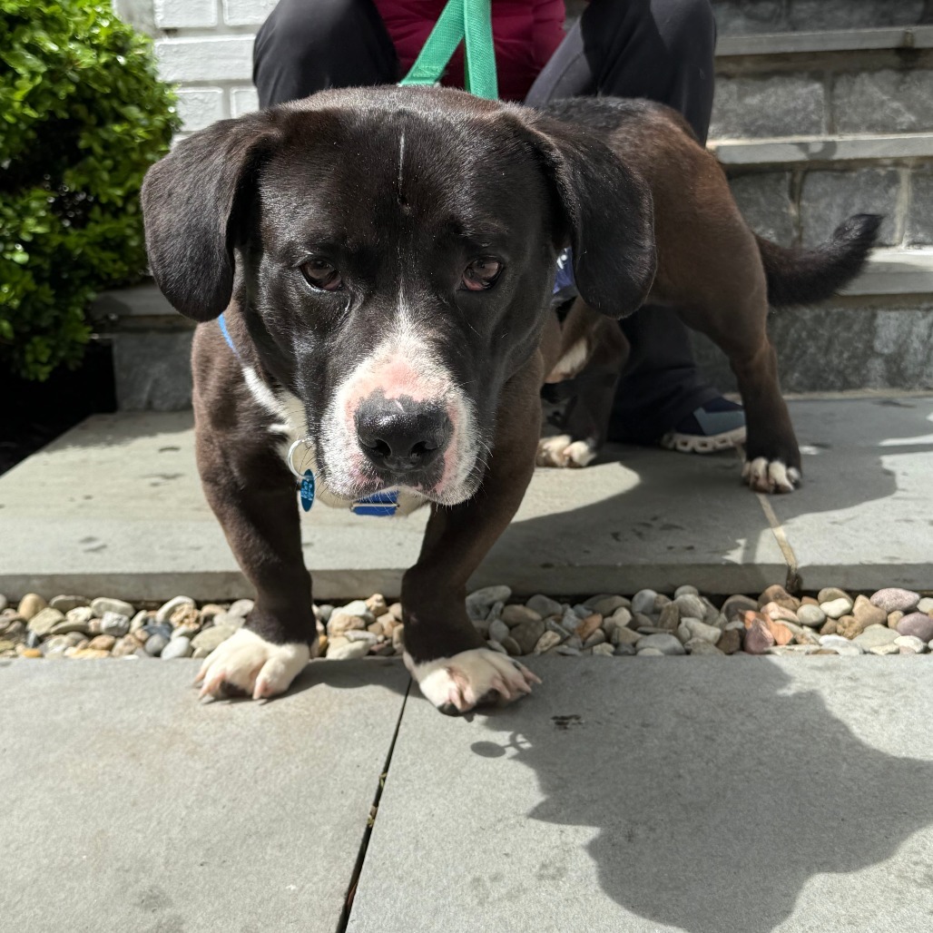 Max