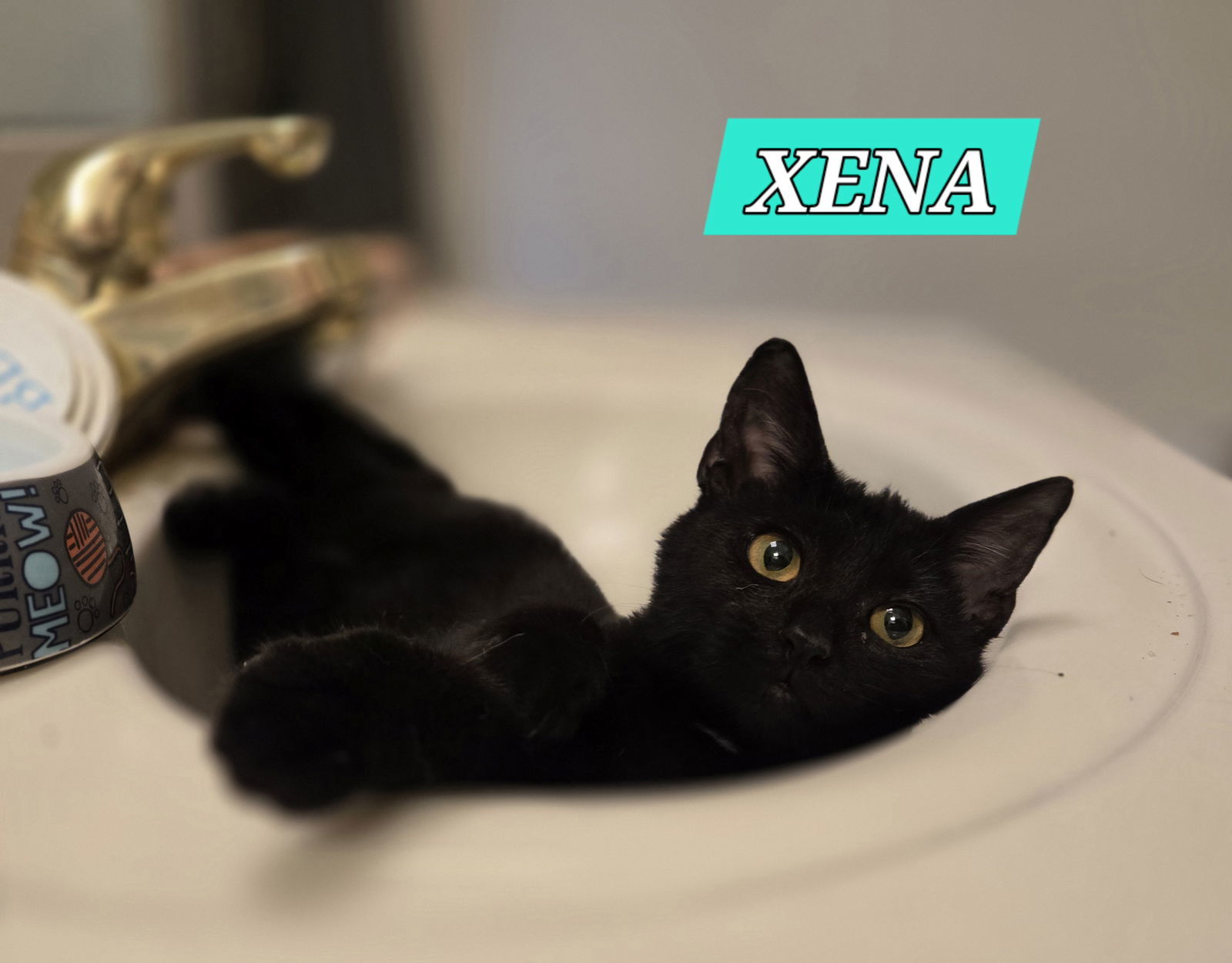 XENA