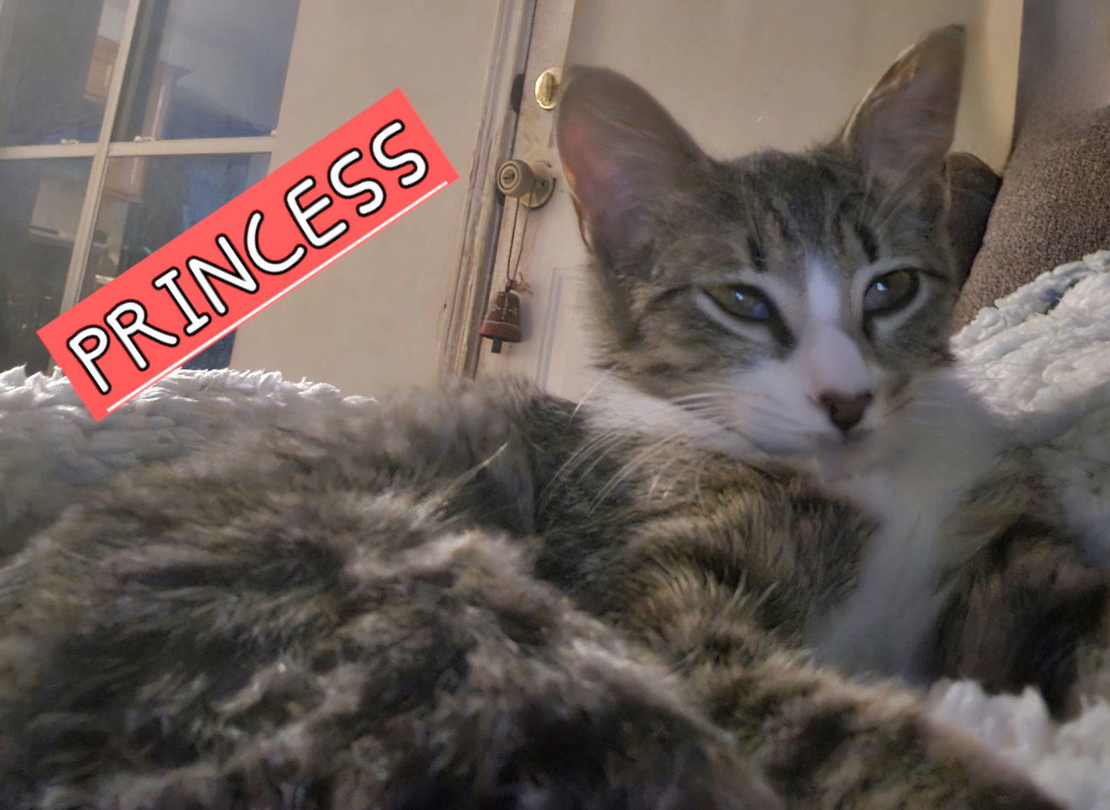 PRINCESS