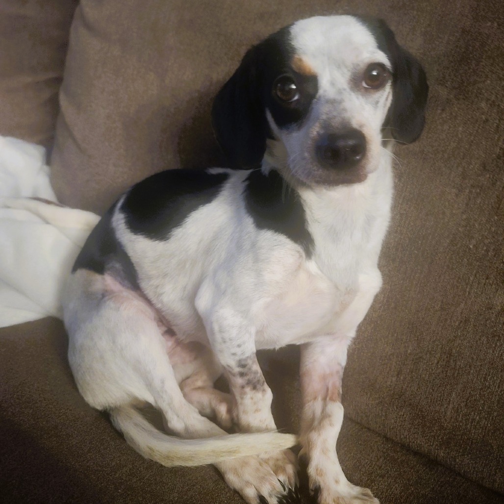 Delilah Photo