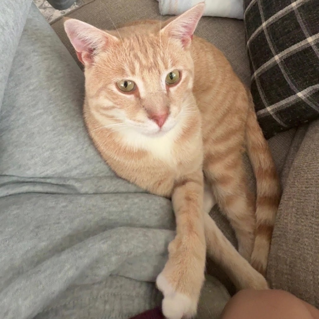 Chester