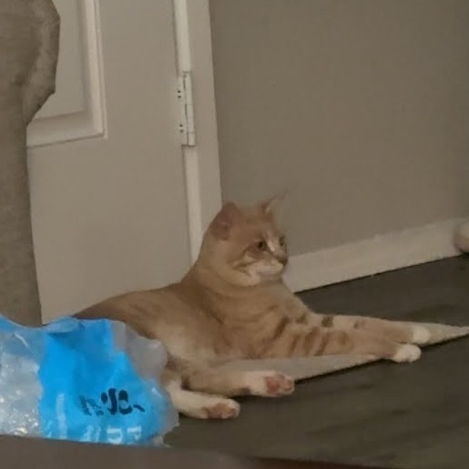 Chester