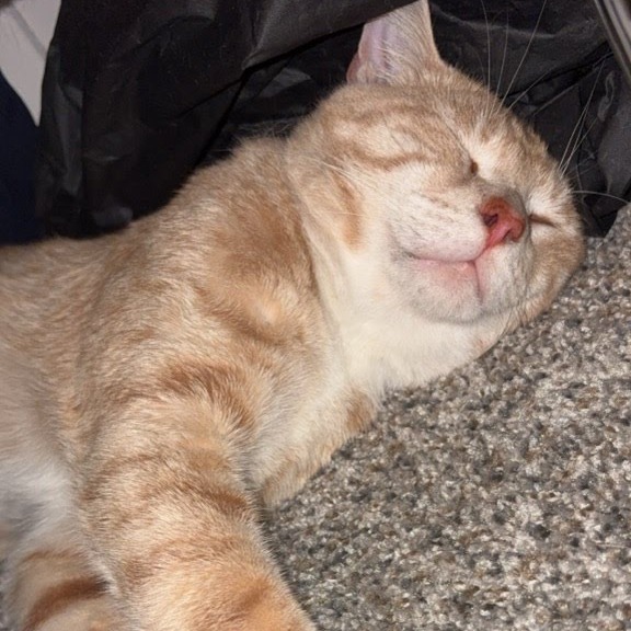 Chester