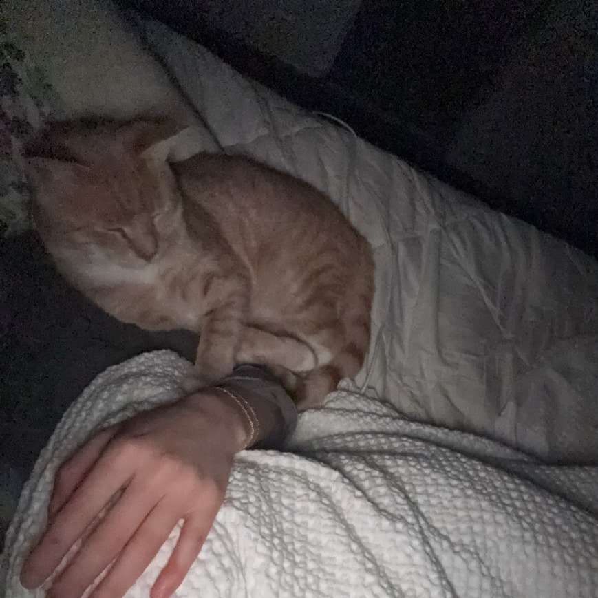 Chester