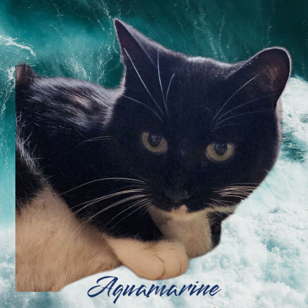 Aquamarine