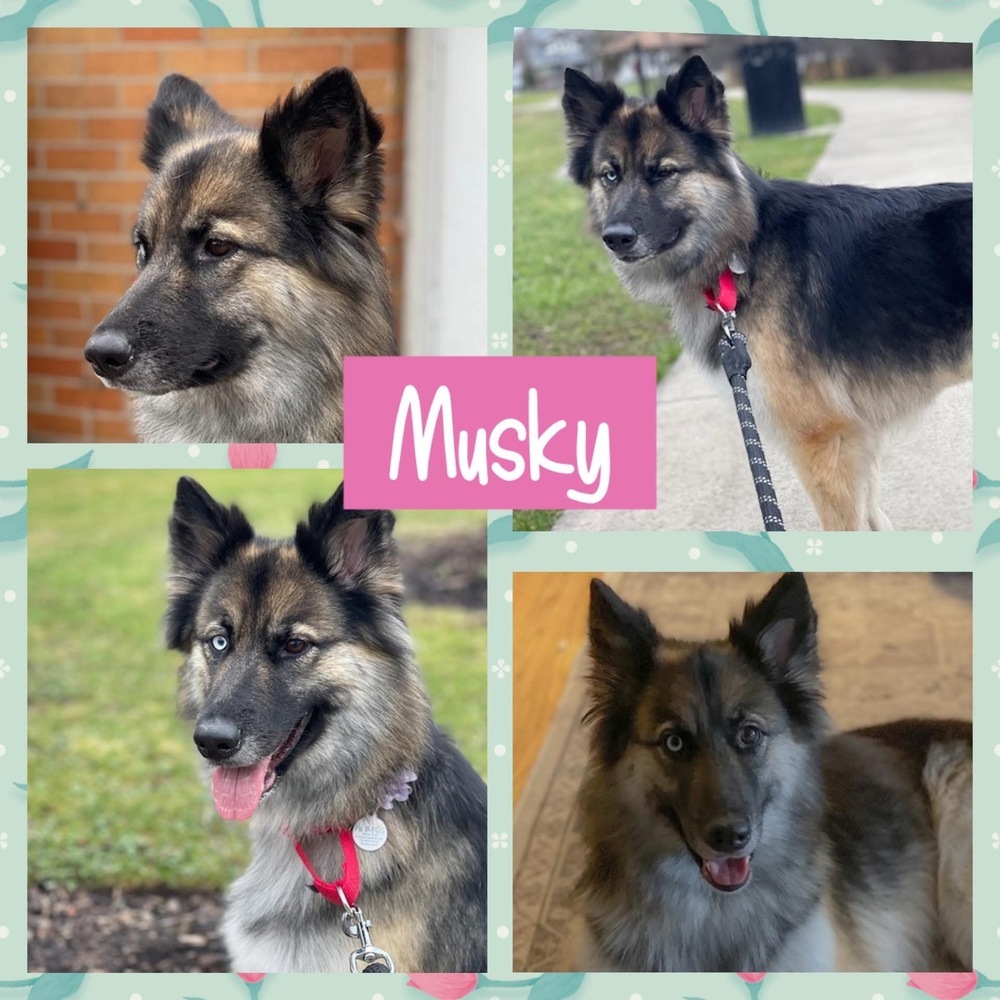 Musky