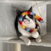 Pollo - Home to Home photo 1
