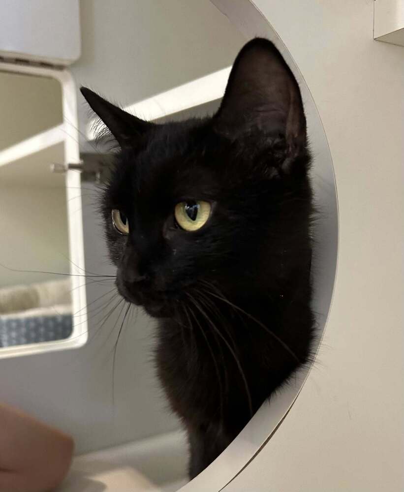 Precious