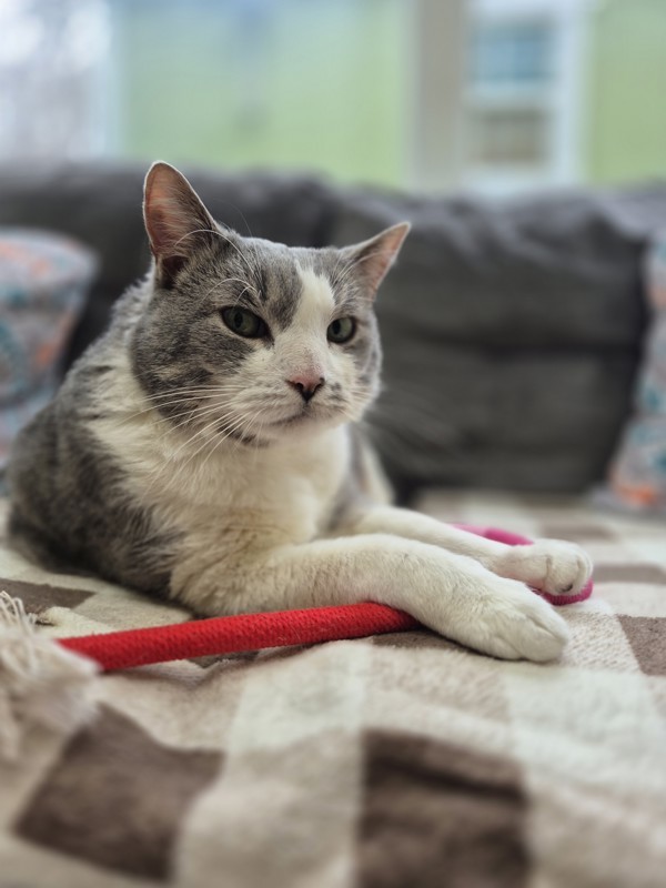 Milo