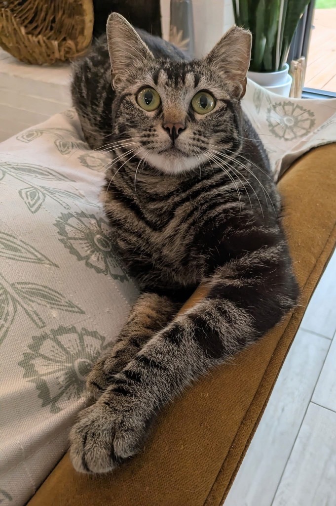 Winston