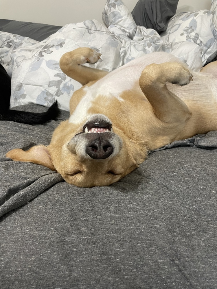 Nash