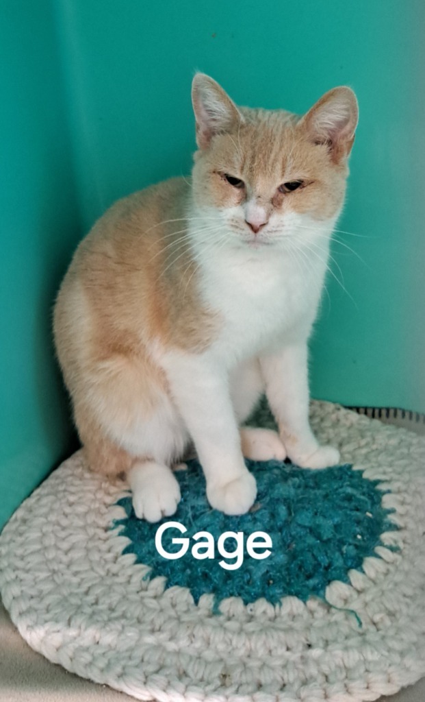 Gage