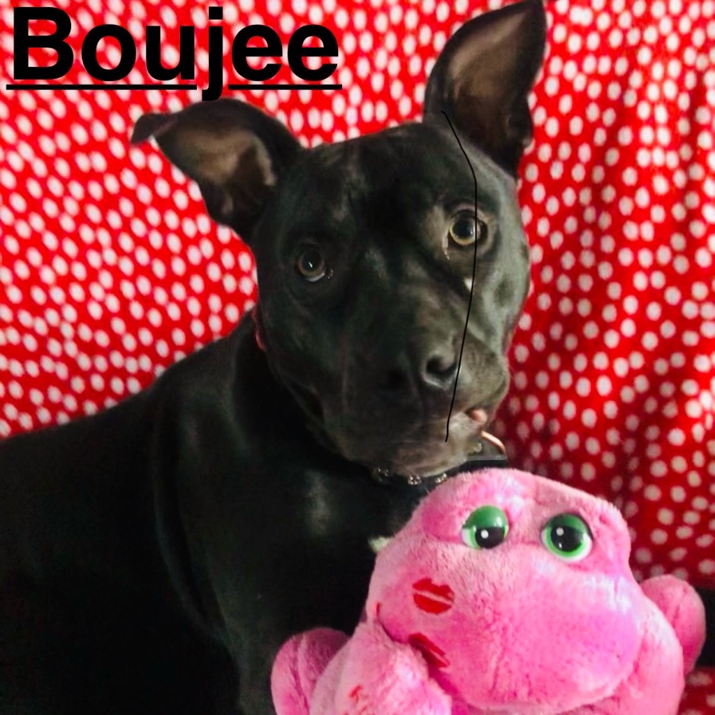 Boujee